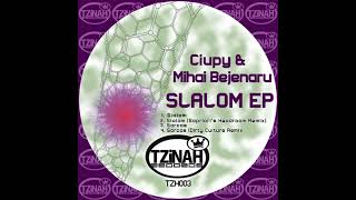 Ciupy Mihai Bejenaru  Slalom Original Mix  TZH003 [upl. by Cirdnek376]