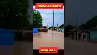 Esto Pasó en Niquero Granma cuba niquero granma shortvideos [upl. by Llerahs715]