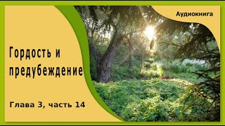 Гордость и предубеждение  аудиокнига глава 3 часть 14 [upl. by Miksen]