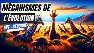 Mécanismes de lévolution  SVT seconde [upl. by Eiduam]