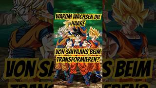 WARUM Wachsen die Haare von Saiyajins beim TransformierenSleepyPharao dragonball dbz goku anime [upl. by Aldous]