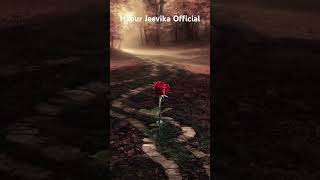 Aawara Hawa Ka jhoka status  Sad WhatsApp status hapurjeevika whatsappstatus [upl. by Naibaf386]