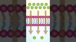 Which best describes the difference between osmosis and diffusion [upl. by Ciryl]