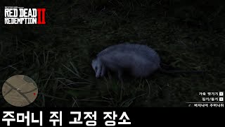 버지니아 주머니쥐 고정 장소  RDR 2 [upl. by Shermy532]