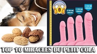 TOP 10 des MIRACLES 😱 du PETIT COLA à Savoir Absolument [upl. by Ardnaxila]