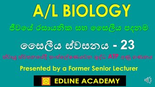 Net production of ATP molecules during aerobic respiration Advanced Level Biology Sinhala Lessons [upl. by Aiyotal]