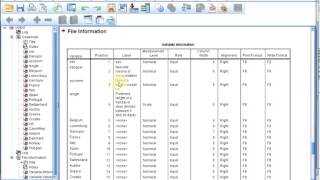 S01E0415 SPSS Basics  Codebook [upl. by Georgi612]