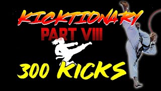 Tang Soo Do Kicktionary Part 8  300 Kicks [upl. by Cirda]