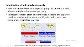 Post translational modifications [upl. by Aivax]