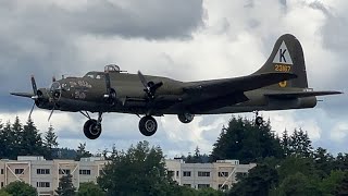 RARE Boeing B17G N3701G Landing at Olympia Regional Airport [upl. by Adnirual]