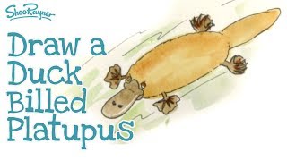 How to draw a Duck Billed Platypus [upl. by Dominus]