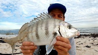 Fishing For White Steenbras [upl. by Bess]