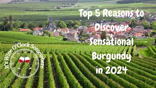 Top 5 Reasons to Discover Sensational Burgundy in 2024 [upl. by Dulcy888]