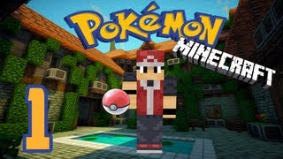 La aventura Pokemon de Frigo Parte 1  Mi primer Pokemon [upl. by Jonathon]