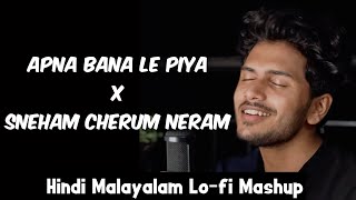 Apna Bana Le Piya X Sneham Cherum Neram  Hindi x Malayalam Mashup [upl. by Okimat]