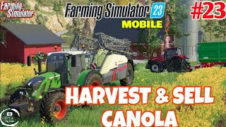 Harvesting canola in farming simulator 23 gameplay 23 [upl. by Itsud963]