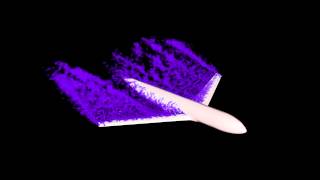 Finite element simulation of vorticity past airplane [upl. by Barde]