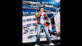 Canyon Moon by Harry Styles vocals onlyacapella [upl. by Elamef228]