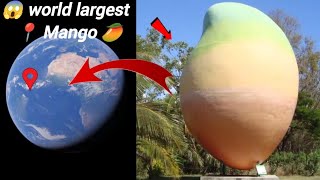 😱 I found giant world mango in real life on Google Earth 🤯🌍 viralvideo maps alexearth 😱🤯🌍 [upl. by Oaoj743]