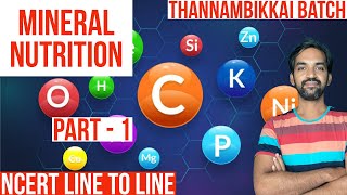 Mineral Nutrition  Part 1  Thannambikkai Batch  NCERT Line to Line [upl. by Artie]