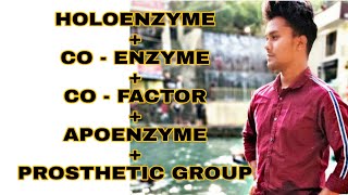 HOLOENZYME APOENZYMECO  FACTORCO ENZYME  PROSTHETIC GROUP [upl. by Xenos]