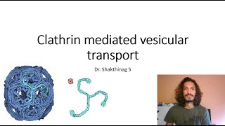 Clathrin mediated vesicular transport [upl. by Elodie]