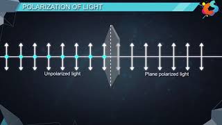 16  Class 12  Physics  Wave Optics  Polarisation [upl. by Eiramnna651]