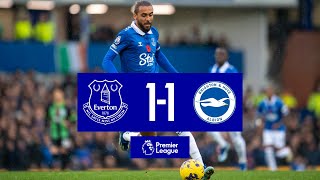 PREMIER LEAGUE HIGHLIGHTS EVERTON 11 BRIGHTON [upl. by Jerrie]