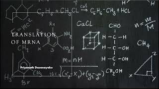 TRANSLATION OF mRNA [upl. by Grosz677]