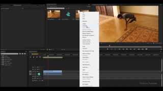 How To Change FPS In Premiere Pro CC 60fps to 24fps [upl. by Vitek]