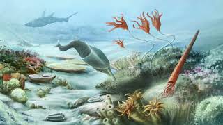 History of the Earth Part 2 Phanerozoic Eon – Paleozoic Era [upl. by Seigel539]