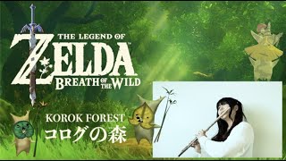 【The Legend of Zelda Breath of the Wild】Korok Forest on Flute [upl. by Fuld347]