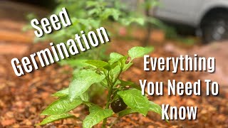 Seed Germination Crash Course [upl. by Sac]