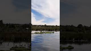 Chiloé Island Chile Lake Lagos Aves Seagulls Birds Paisajes Sound Gaviotas y Aves marinas🙌 [upl. by Rabaj]