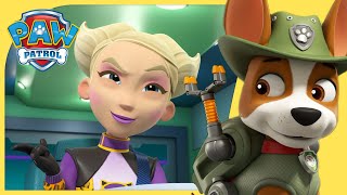 The Pups amp Tracker Save the Jungle and MORE  PAW Patrol  Cartoons for Kids [upl. by Jemy]