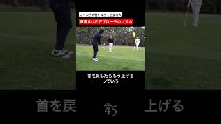 アプローチで固くなる時こそリズムを意識することが大切 片山晋呉 golf ゴルフ shorts [upl. by Waldos]