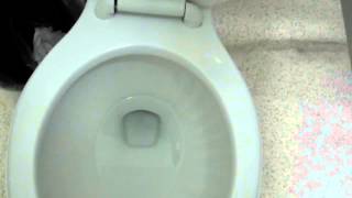 4313 2010 Glacier Bay Pressure Assist Toilet [upl. by Aubert726]