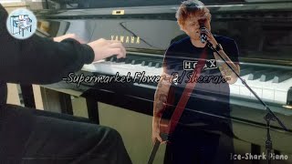 Ed SheeranSupermarket Flowers Piano  a beautiful song✨️ 〖IceShark Piano〗 [upl. by Ynor415]