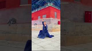 Shaolin Monks Acrobatics 🥰✌✨ and Unique Abilities Video Scene shorts shaolin [upl. by Adnilasor]