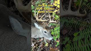 Just like that 20242025 deer season is over treestand deerhunting hunting [upl. by Renny933]