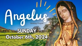 Sunday Angelus Prayer 🙏  Midday Reflection for October 6 2024 [upl. by Ppik]