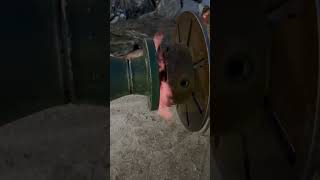 Preheating spool to connect the gas meter on a cold morning pipewelder weld welder lincolnwelder [upl. by Belia]