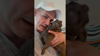 El chihuahua que canta 🐕🐕😱😱🤯virallvideo [upl. by Barnard331]