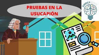 PRUEBAS EN LA USUCAPIÓN [upl. by Anaik572]