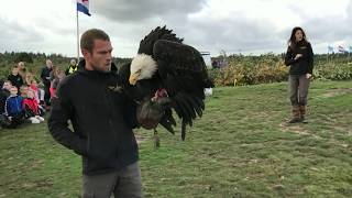 Educatieve Roofvogeldemonstratie [upl. by Yasmar]