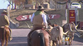 DFW Moments Chisholm Trail [upl. by Cadmar]