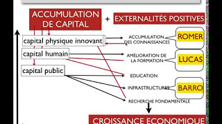 CROISSANCE ENDOGÈNE [upl. by Brenden]