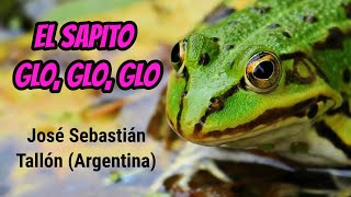 El sapito glo glo glo de José Sebastián Tallón Argentina [upl. by Kohcztiy]