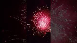 Firework PERFECT 2024 31 in 4K shorts viral fireworks [upl. by Ness]