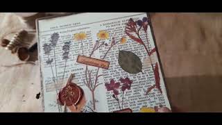 Apothecary lapbook junk journal [upl. by Attenev]